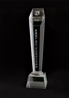 Qiaoxin Real Estate Industry - Outstanding Cooperative Unit of 2017