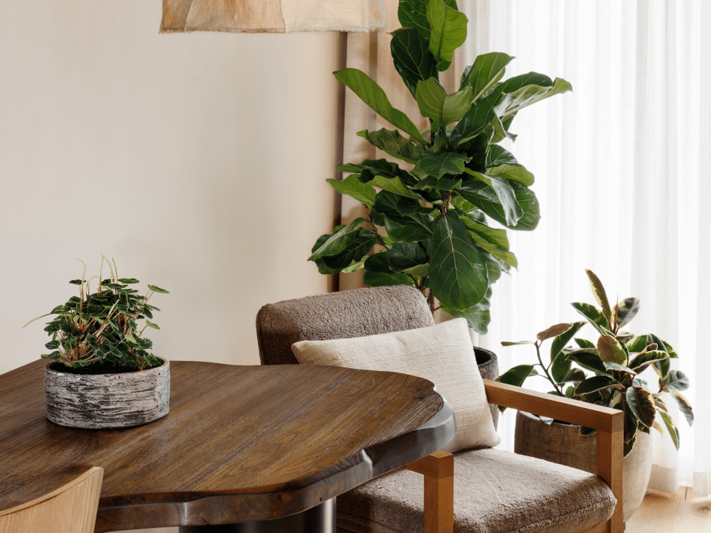 5 star hotel furniture manufacturer