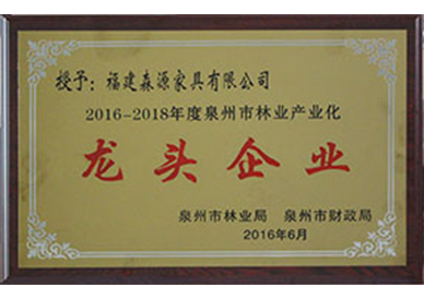 Leading enterprises in 2016